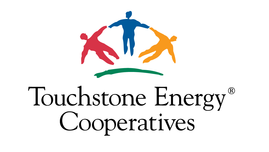 TSE Logo